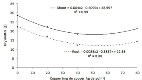 Figure 8: Biomass accumulation in the shoot and root system of brachiaria plants cultivated in soil contaminated  with copper