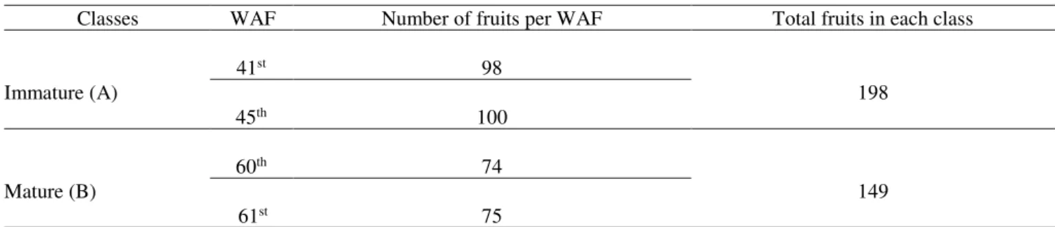 TABLE 1. Number of fruits in each established class. 