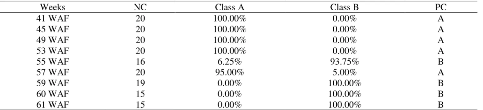 TABLE  5.  Bunches  classified  in  Immature  (A)  and  Mature  (B)  classes  at  each  maturation  period  by  means  of  the  neural  network RN-H