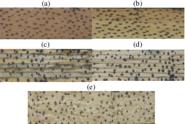 FIGURE 2. Markers  insert on the surface of the  materials  tested. 