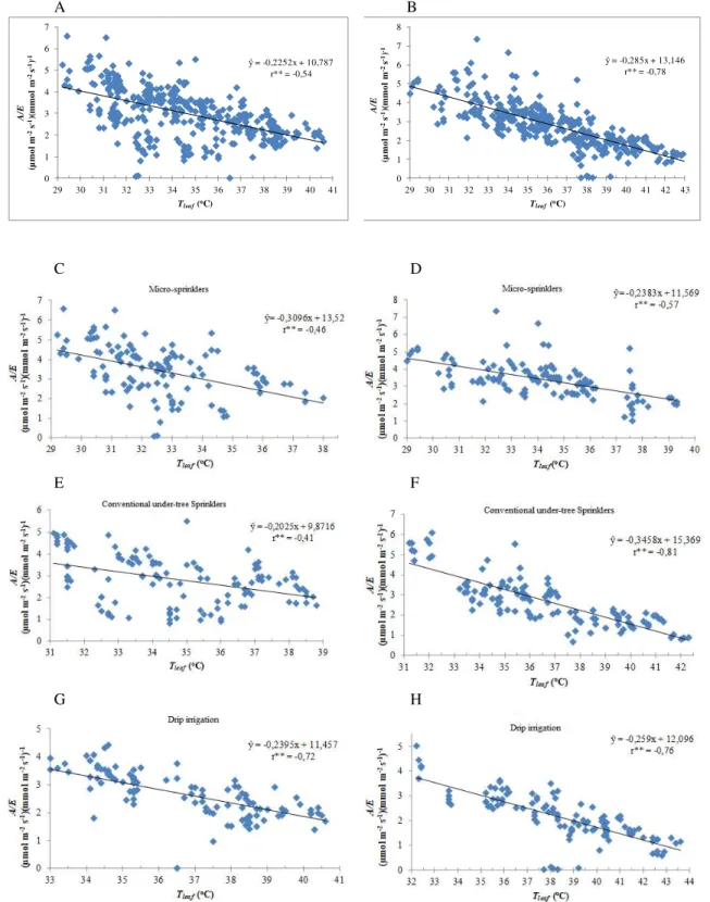 FIGURE  2.  Correlation  between  the  instant  water  use  (A/E),  µ mol  CO2  m -2   s -1   /  (mmo l  H 2 O  m  -2   s  -1 )  -1,  and  the  leaf  temperature  (T leaf ),  o C,  of  'BRS  Platina'  and  'Prata-Anã'  banana  plants  at  10  a.m