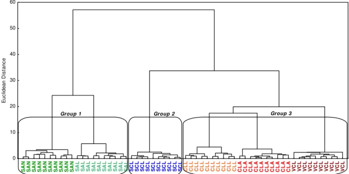 FIGURE  1.  Dendrogra m of hiera rchica l clustering analysis of peanut production parameters showing the clustering according  to soil texture classes, very clayey (VCL), clayey (CLA), clayey loam (CLL),  silty clayey loam (SCL), sandy loam (SA L), and  s
