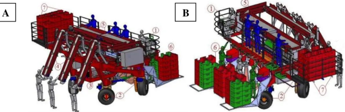 FIGURE  1.Vie w of the machine. (A )  View of the harvesting system with a detailed view of the fruit supply module including  three supply conveyors and showing three pickers