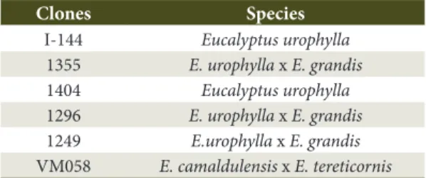 Table 2. Hybrid clones of Eucalyptus used in the  experiment.
