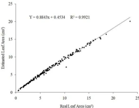 Figure 5. Relation between real leaf area and estimated  leaf area by the regression equation Y = 0.6426*LW.