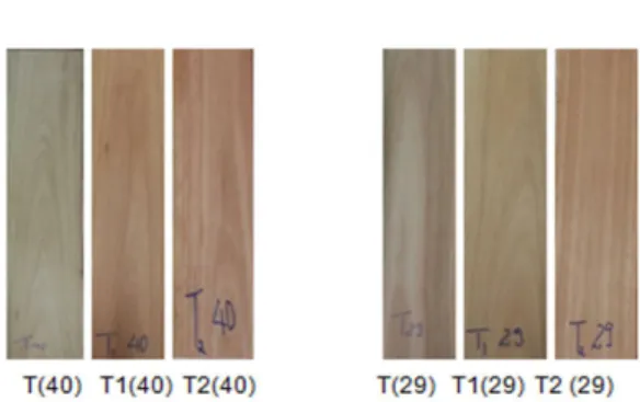 Figure 5. Visual aspect of Eucalyptus saligna wood color,  treatment 2, compared with Cariniana legalis wood.