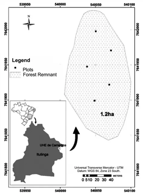 Figure 1. Forest remnant area around the Camargos reservoir, Itutinga, MG.