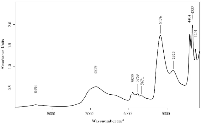 Figure  2  exhibits  a  representative  spectrum  of  the  wine  spirits  acquired  by  NIR
