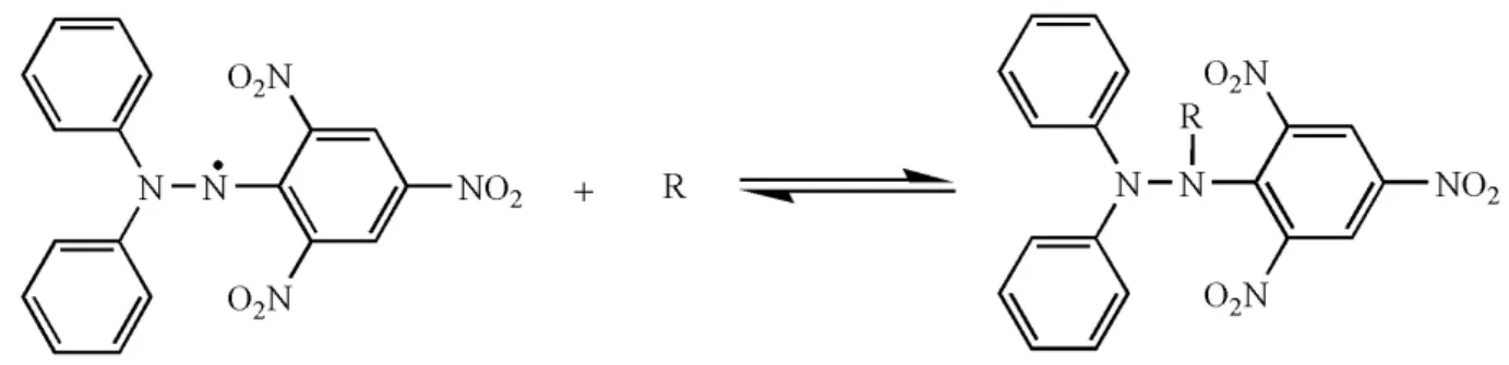 Figure 1 shows the stabilization of the DPPH radical by  an antioxidant.