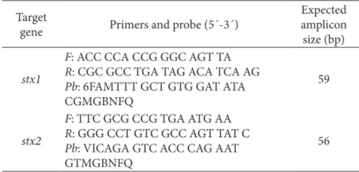 Table 3. Beef carcass samples contaminated with Escherichia coli found after skinning, washing and cooling at three slaughterhouses in Mato  Grosso do Sul, Brazil.