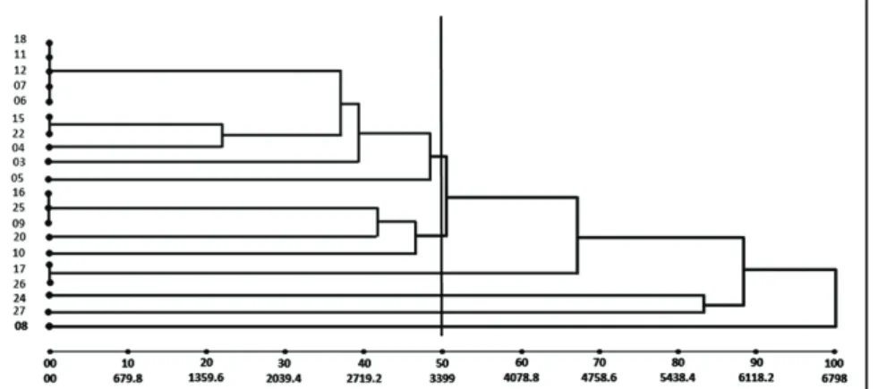 Figure 2. Dendogram for 20 Murupi chili pepper landraces, from the Amazon basin, obtained  by a nearest neighbor clustering method based on generalized Mahalanobis distances