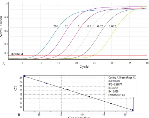 Figure 3.  Real-time PCR for the detection and quantification of Colletotrichum lindemuthianum