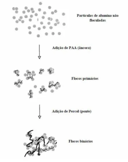 Figura 12 -  Representação esquemática do processo de floculação utilizando dois polímeros.