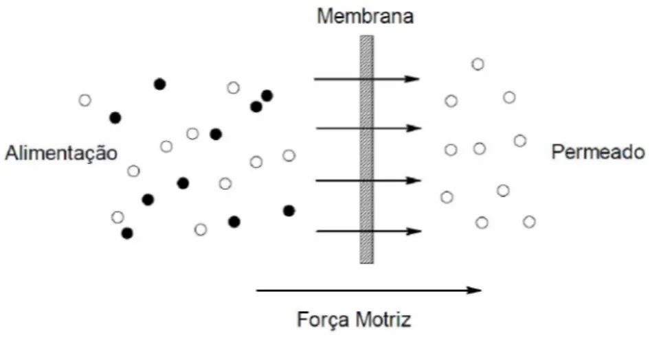 Figura 19 -  Representação esquemática do processo de separação por membranas.