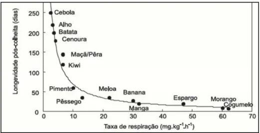 Figura 3: Taxa de respiração do kiwi a 5ºC [6]. 