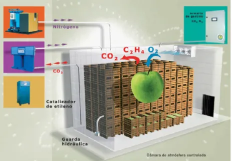 Figura 8: Exemplo de uma instalação frigorífica de atmosfera controlada [13]. 