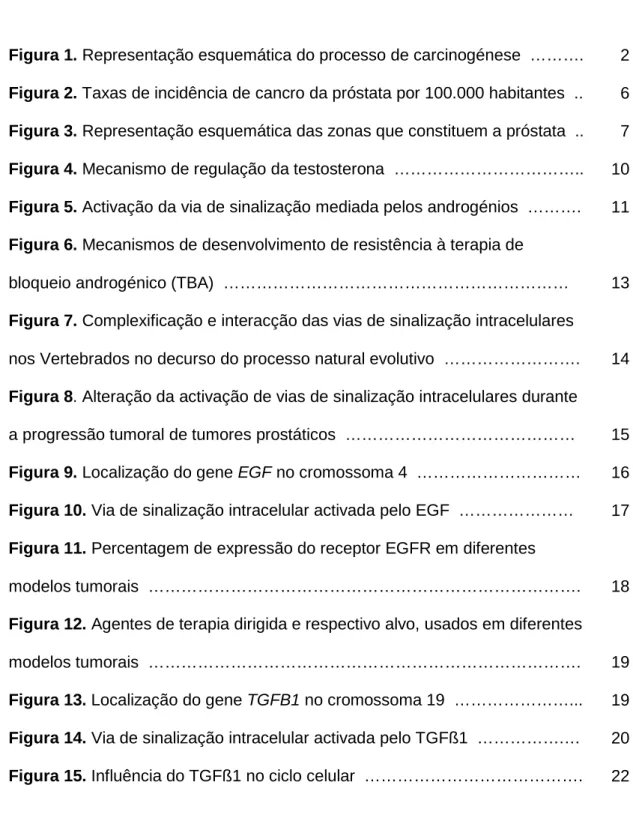 Figura 1. Representação esquemática do processo de carcinogénese  ……….  2  Figura 2. Taxas de incidência de cancro da próstata por 100.000 habitantes  .