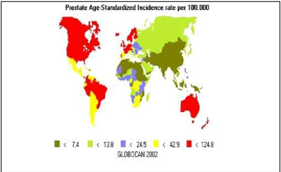 Figura 2. Taxas de incidência de cancro da próstata por 100.000  habitantes (Globocan 2002, IACR)