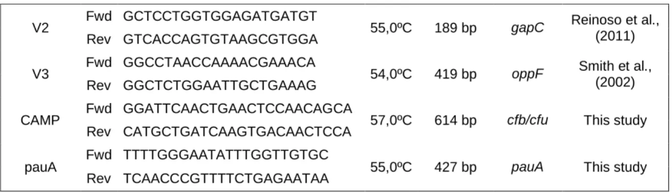 Table III- Layout of the first Streptococcus agalactiae membrane used in the dot-blot hybridization assay