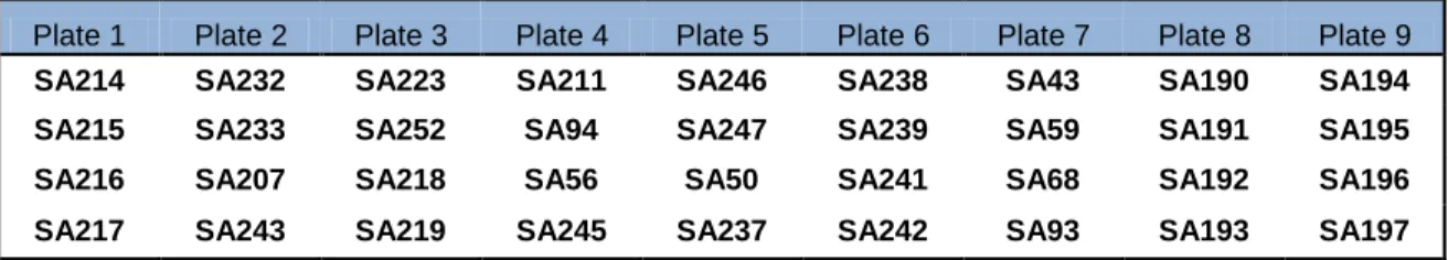 Table VI- Scheme used for plating the strains in petri dishes. 