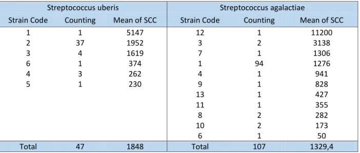 Table IX- Data analysis showing strain code, number of isolates and respective mean of SCC
