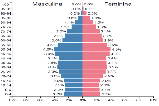 Figura 13. Pirâmide etária da população suíça, 2017  Fonte: https://www.populationpyramid.net/pt/su%C3%AD%C3%A7a/2017/ 