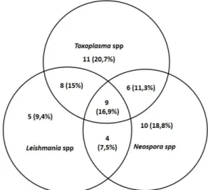 Figura 1. Distribuição dos cães soropositivos em  mono  ou  coinfecções,  de  acordo  com  o  agente  pesquisado  Leishmania  infantum,  Neospora  caninum  e  Toxoplasma  gondii,  no  período  de  novembro de 2014 a abril de 2016