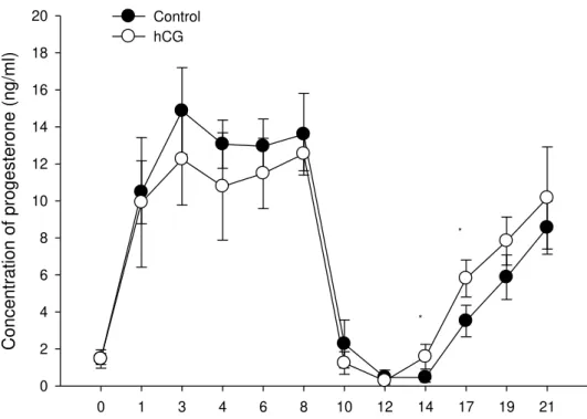 Figure 1. Progesterone concentration in ewes subjected to ovulation synchronisation using an intravaginal  progesterone device