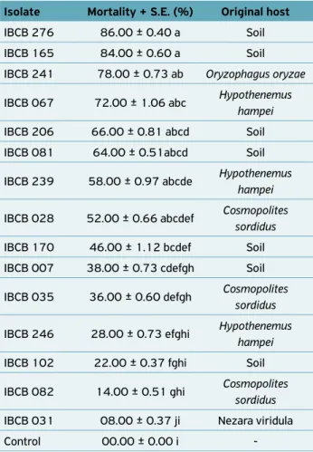 Table 2. Mortality of Conotrachelus psidii larvae by Beauveria  bassiana isolates, standardized to 1.0 × 10 7  conidia/mL.