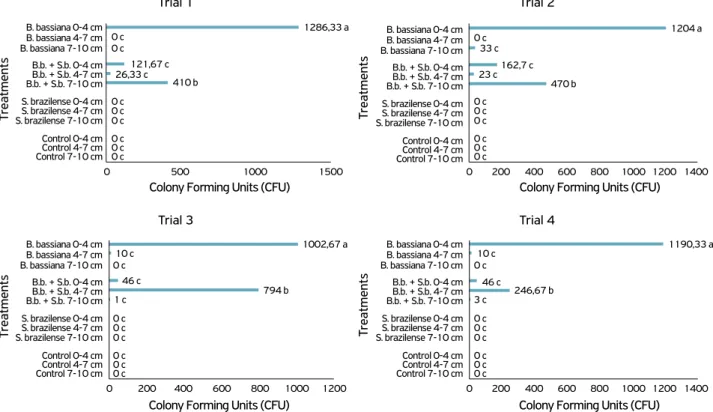 Figure 1. Conidia carriage trials in different depths of sandy soil after application of Beauveria bassiana, Steinernema brazilense, the  combination of B