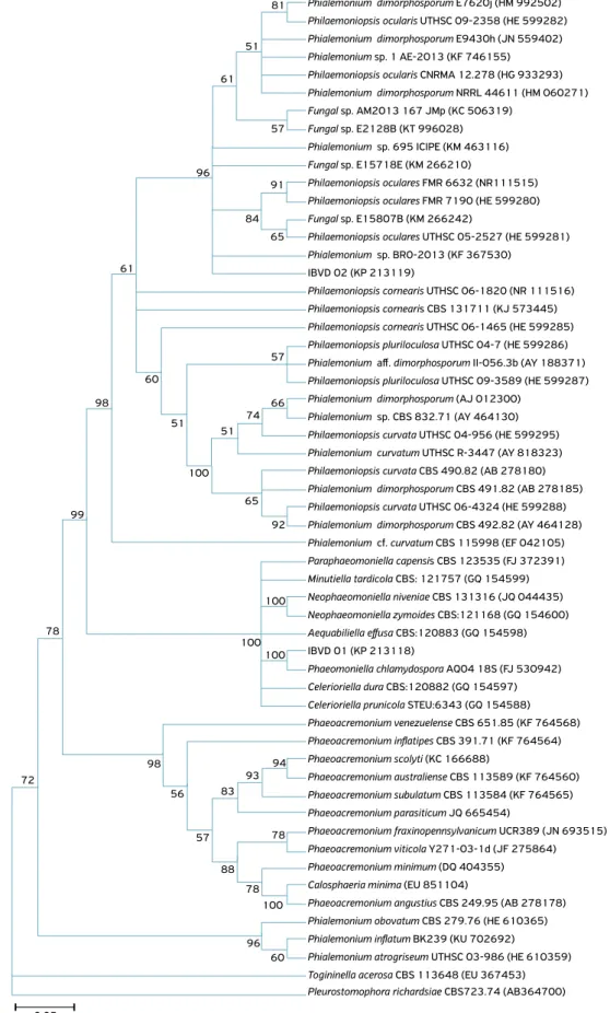 Figure 1. Phylogenetic trees showing the relationship between the isolates of fungi detected in ‘Niagara Rosada’ vine in comparison  with the genera and species of fungi isolated from vines and deposited in GenBank-NCBI
