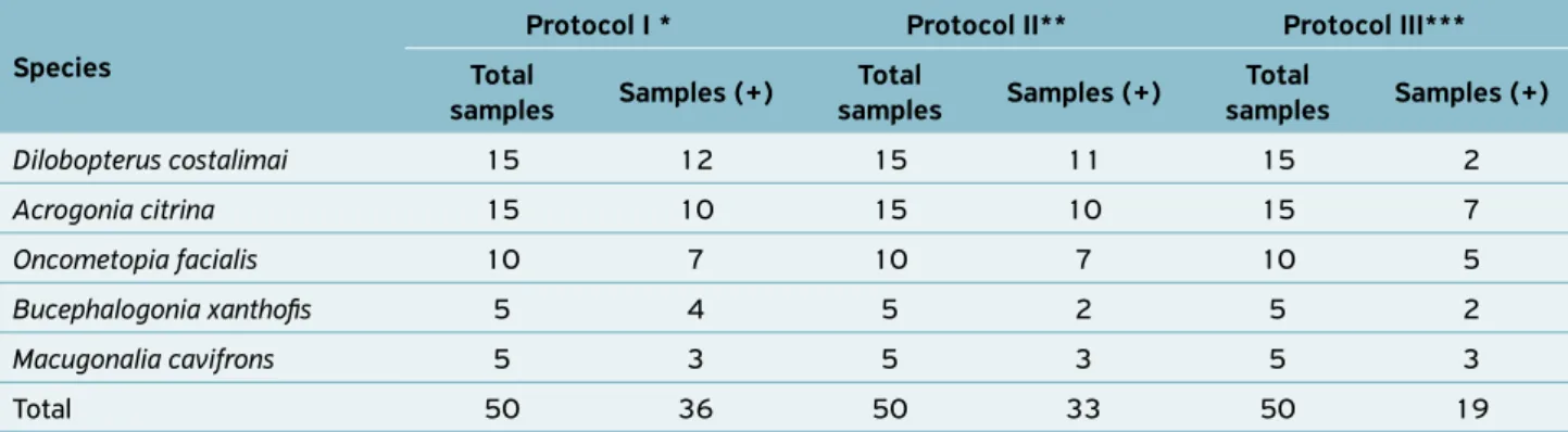 Table 1. Comparison among DNA extraction methods for the detection of X. fastidiosa bacteria in sweet orange using nested‑PCR.