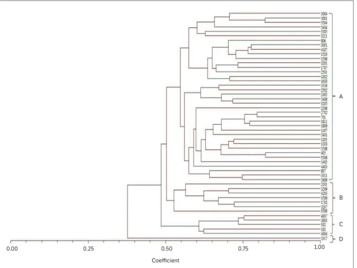 Figure 3. Spatial representation of the genetic structure of 51 E. guineensis Jacq individuals using RAM microsatellites.