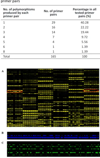 Table 2.  Information of polymorphisms produced by different  primer pairs No. of polymorphisms  produced by each  primer pair No