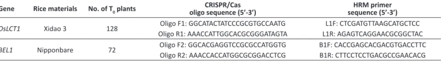 Table 1.  DNA Oligos used for CRISPR/Cas 9 vector construction and PCR primer sequences for HRM analysis and T-DNA detection of  two genes