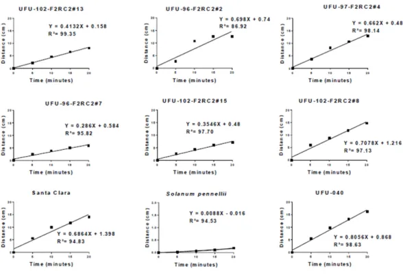 Figure 1.  Regression equations for the average distance covered by Tetranychus urticae in function of the time (5, 10, 15 and 20  minutes) at different tomato genotypes