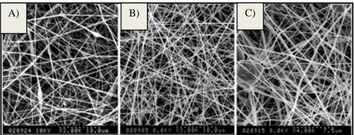 Figure 12 - SEM  micrograph of prolamins electrospun fibers at their optimized concentrations
