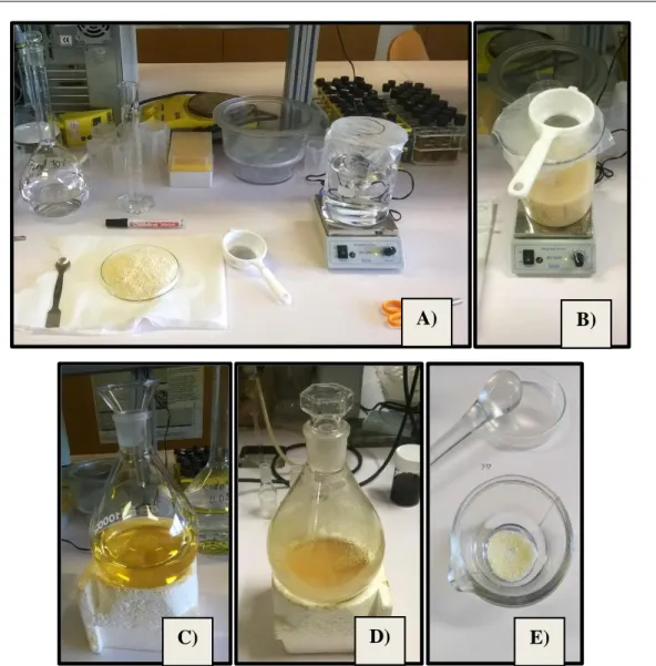 Figure  21  –  Gliadin  extraction  from  commercial  gluten  powder.  A)  Dispersion  preparation;  B)  Dispersed  gluten  in  ethanol  70%  (v/v);  C)  Yellowish  supernatant  obtained  after  centrifugation;  D)  Viscous gliadin-rich fraction after rota