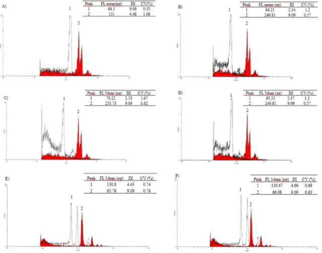 Figure 1. Histograms of the ploidy levels in flow cytometry of the potential haploids selected by R1-nj obtained in 2012/2013 (A, B,  C, and D) and in 2014/2015 (E and F)