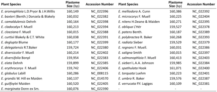 Table 1.  Plastome sequence and length for 31 Eucalyptus species