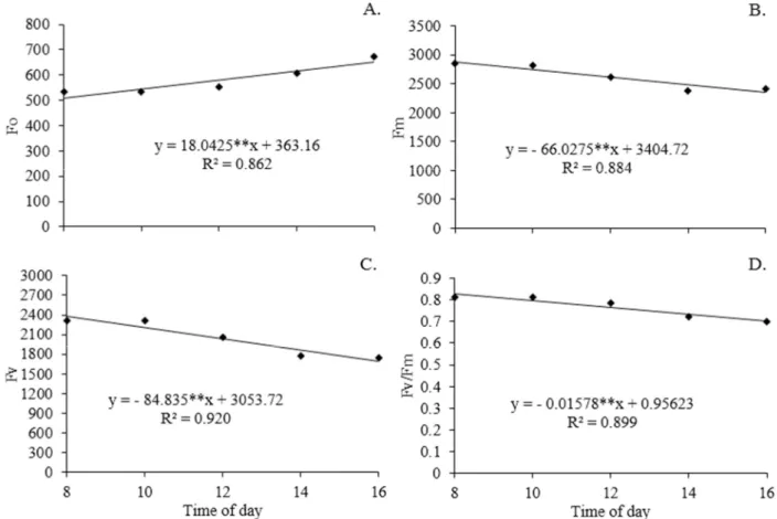 FIGURE 1. Initial fluorescence (Fo) (A), maximum fluorescence (Fm) (B), variable fluorescence (Fv) (C) and photochemical  efficiency of PHS II (Fv/Fm) (D) of passion fruit hybrid ‘BRS Gigante Amarelo’ at different periods of the day