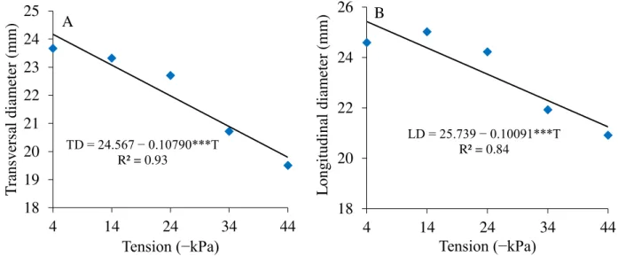 FIGURE  5.  Transversal  diameter  (TD)  (A)  and  longitudinal  diameter  (LD)  (B)  of  the  cherry  tomato  cultivar  BRS  Iracema  under water availabilities in an Oxisol