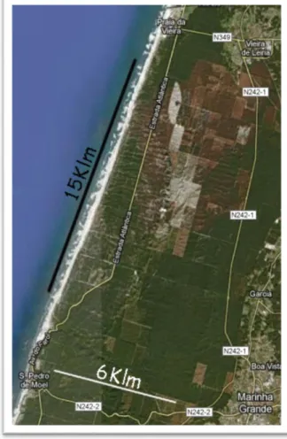 Figura 1: Localização geográfica do Pinhal do Rei  (adaptado do Google Earth, 2018)