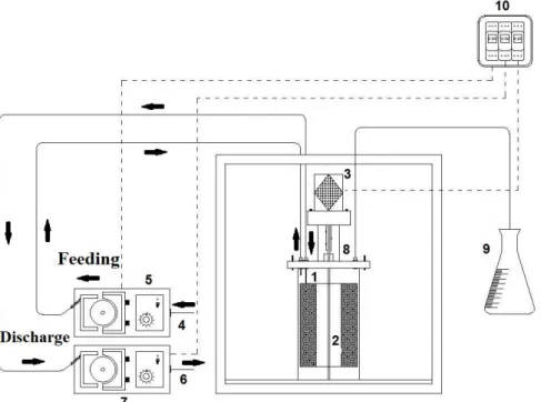 FIGURE 1 Schematic representation of the AnSBBR reactor: 1. Pexiglass ®  reactor; 2. Basket for biomass immobilization; 3