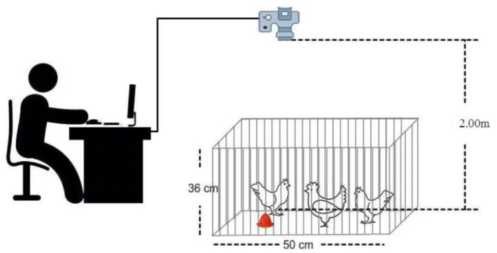 FIGURE 1. Schematic representation of an imaging process 