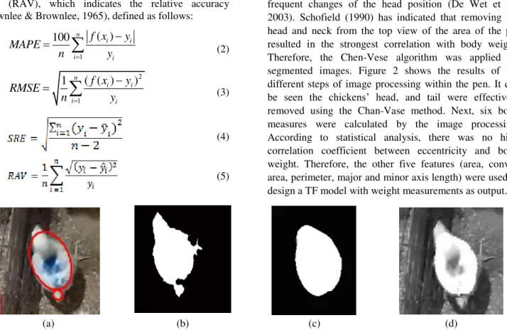 FIGURE 2. The image processing steps were: (a) the ellipses fitted to chickens’ body; the segmented image (b) before and (c)  after applying the Chan-Vese method which removes the areas that are not significant; and (d) the overlaying of the segmented  chi