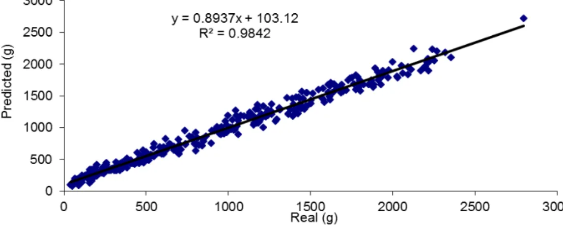 FIGURE 5. The found relationship between the chicken weight and the surface-area pixel value