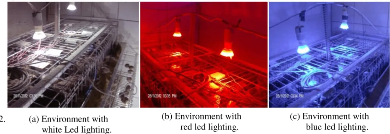 FIGURE 2.          (a) Environment with                                     white Led lighting