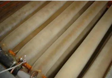 FIGURE  3.  Ice  cylinders  formed  around  the  evaporator  coil during a test. 