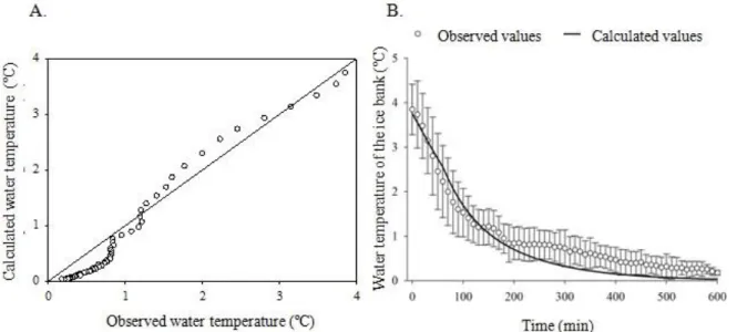 FIGURE 6. Curves of correspondence between observed values and calculated values of ice mass (A) and mass of ice formed  according to time (B)